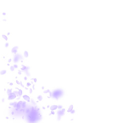 Obraz na płótnie Canvas Violet flower petals falling down. Charming romant