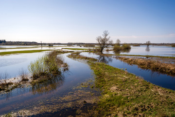 Wiosenne rozlewiska Narwi i Biebrzy. Podlasie. Polska