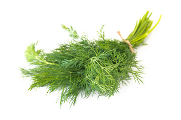Fresh dill on a white background