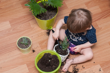 Little girl gardening indoors. Potted plants. Baby development at home.