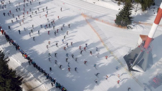 Cross-country skiing
