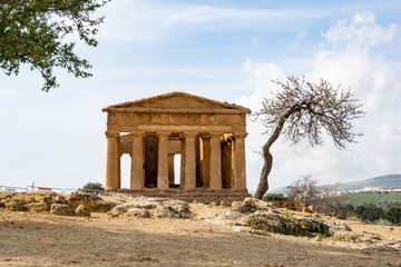 Fototapeta na wymiar Tempio della Concordia in Valley of the Temples near Agrigento, Sicily, Italy