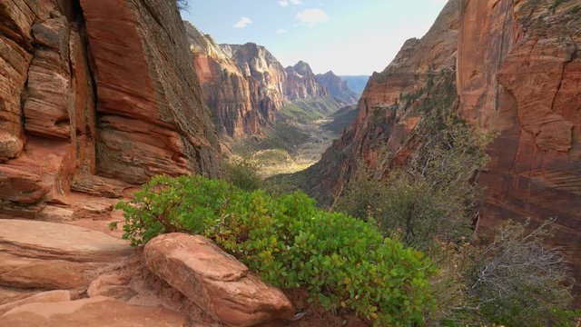 Red rocks in Zion National Park, Utah, USA. Steadicam shot, 4K