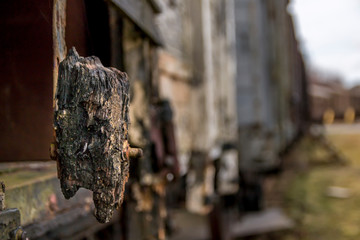Old train carriages white wooden train carriages.
