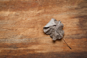 An old, withered twisted leaf from a tree, photographed on a cracked wooden surface. Symbolizes the old and the frailty of everything.