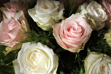 A bouquet of beautiful white and pink roses. Macro. Wallpaper