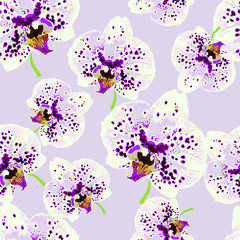 Seamless pattern with bright  orchids. Abstract background texture.