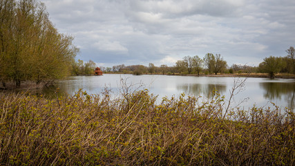 Fototapeta premium Bird watching shed in nature park Meinerswijk inArnhem on southbank of river Rhine in Gelderland, Netherlands