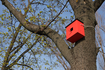 Red bird house on the tree