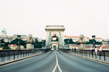 Old Chain bridg. Budapest. Hungary.