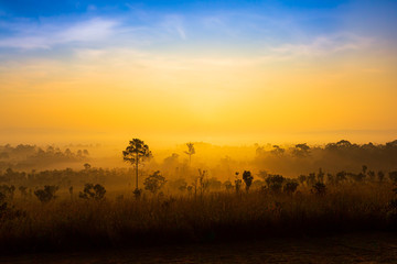 Beautiful forest landscape of foggy sunrise in Thung salaeng Luang National Park (Nong Mae na), Thailand