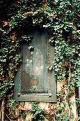 old window in the old wall