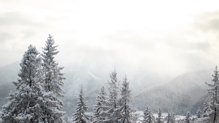 winter mountain landscape Zakopane