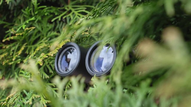 Person Hidden in Bush Peeping with Binoculars and Spying Others