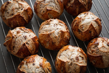 Homemade buns on a baking sheet close up view. Homemade pastry