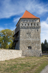 Skalat castle in Ternopil region © tverkhovynets