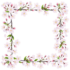 Fototapeta na wymiar Blooming cherry. Decoration frame of flowers on the white background. 