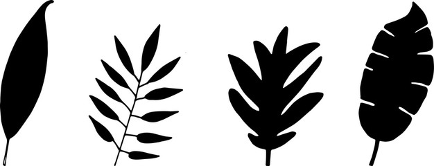 Fototapeta na wymiar Silhouette hand drawn leaf vector illustration. flower lineart isolated