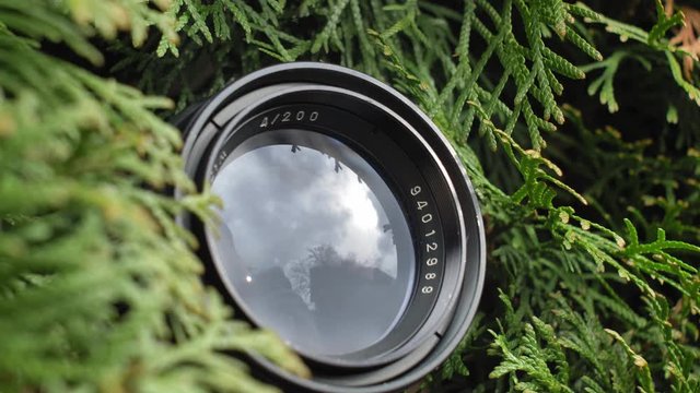 Person Hidden in Bush Taking Pictures with Telephoto Lens and Spying Others
