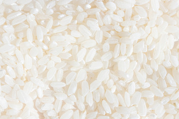 Rice grains close-up, detailed macro photo. Round grain rice.
