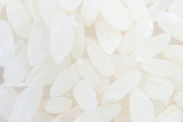 Rice grains close-up, detailed macro photo. Round grain rice.
