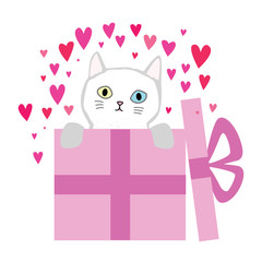 Kitten into the gift
