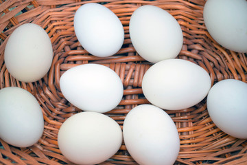 White chicken eggs in a wicker basket.