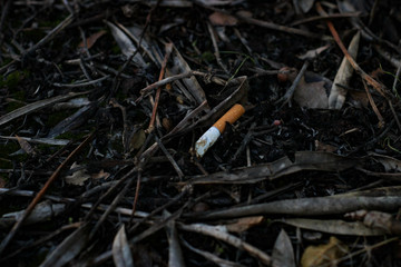 La contaminazione