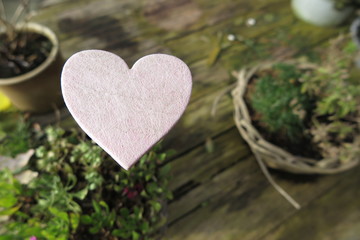 heart in home garden wooden background