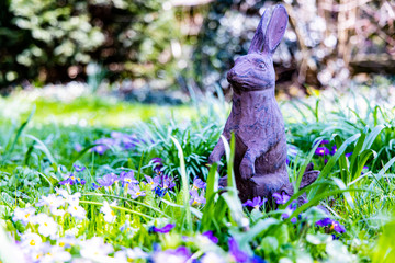 Osterhase im Garten, Frühling