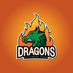 Creative dragon logo template. Sport mascot design