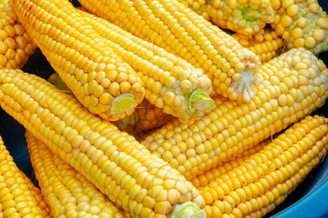 Yellow dry corn as background. Ripe tasty corn in a bowl