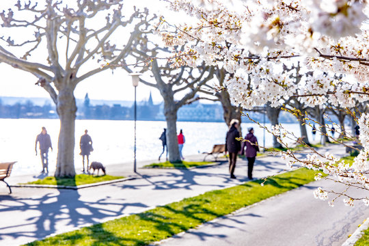 Spaziergang am Bodensee im Fr&uuml;hling, Konstanz