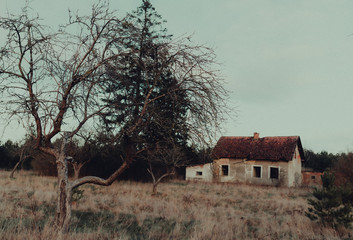 Old countryhouse house, abandoned 