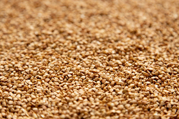 Buckwheat background, shallow depth of field, blur background. Concept - stocks before the covid-19 epidemic