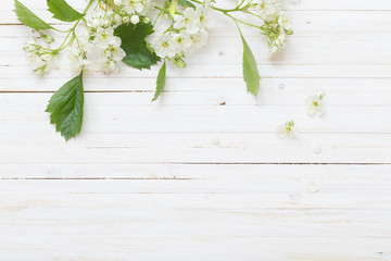 spring flowers on white wooden background