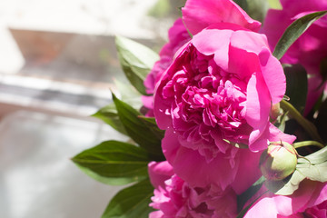 greeting card bouquet of peonies. summer day