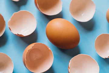 egg and shells on a blue background
