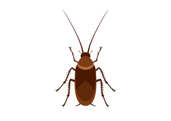 Cockroach color icon vector. Cockroach isolated on a white background. Disgusting insect clip art. Cockroach vector