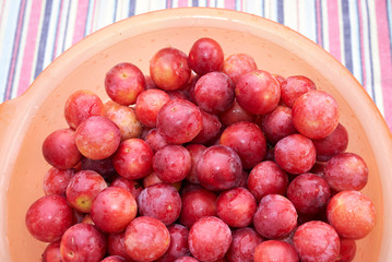 myrobalan plums