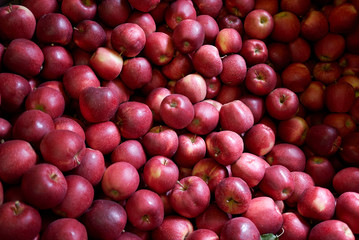 red fresh apples