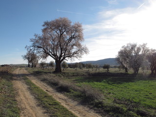 Obraz premium paisajes