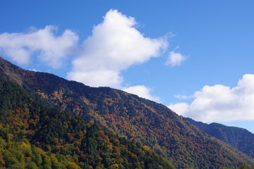 Fototapeta na wymiar 早秋の山