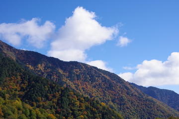 早秋の山