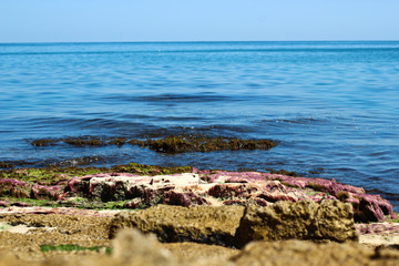 Sea and mossy rock in Agva.