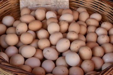All of the eggs in one basket at the market for sale 