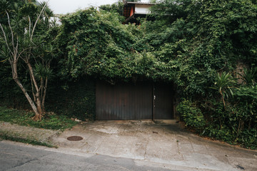 entrance to property cowered with plants in Rio de Janeiro, Brazil
