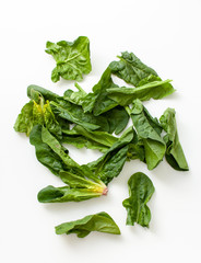 Fresh spinach leaves on a white background