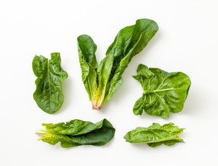 Fresh spinach leaves on a white background