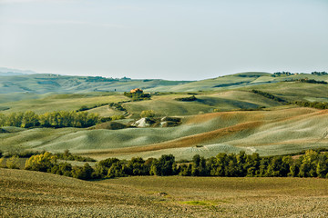 Landscape of Tuscany in the evening light